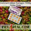 Comment Utiliser Kamagra 100Mg Gelée Orale new12